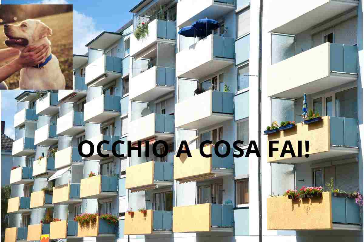 cani in condominio regole