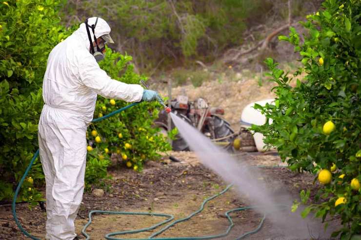 Uomo spruzza pesticidi 