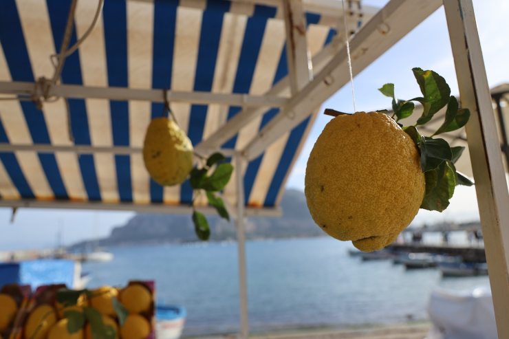 tenda da sole limone